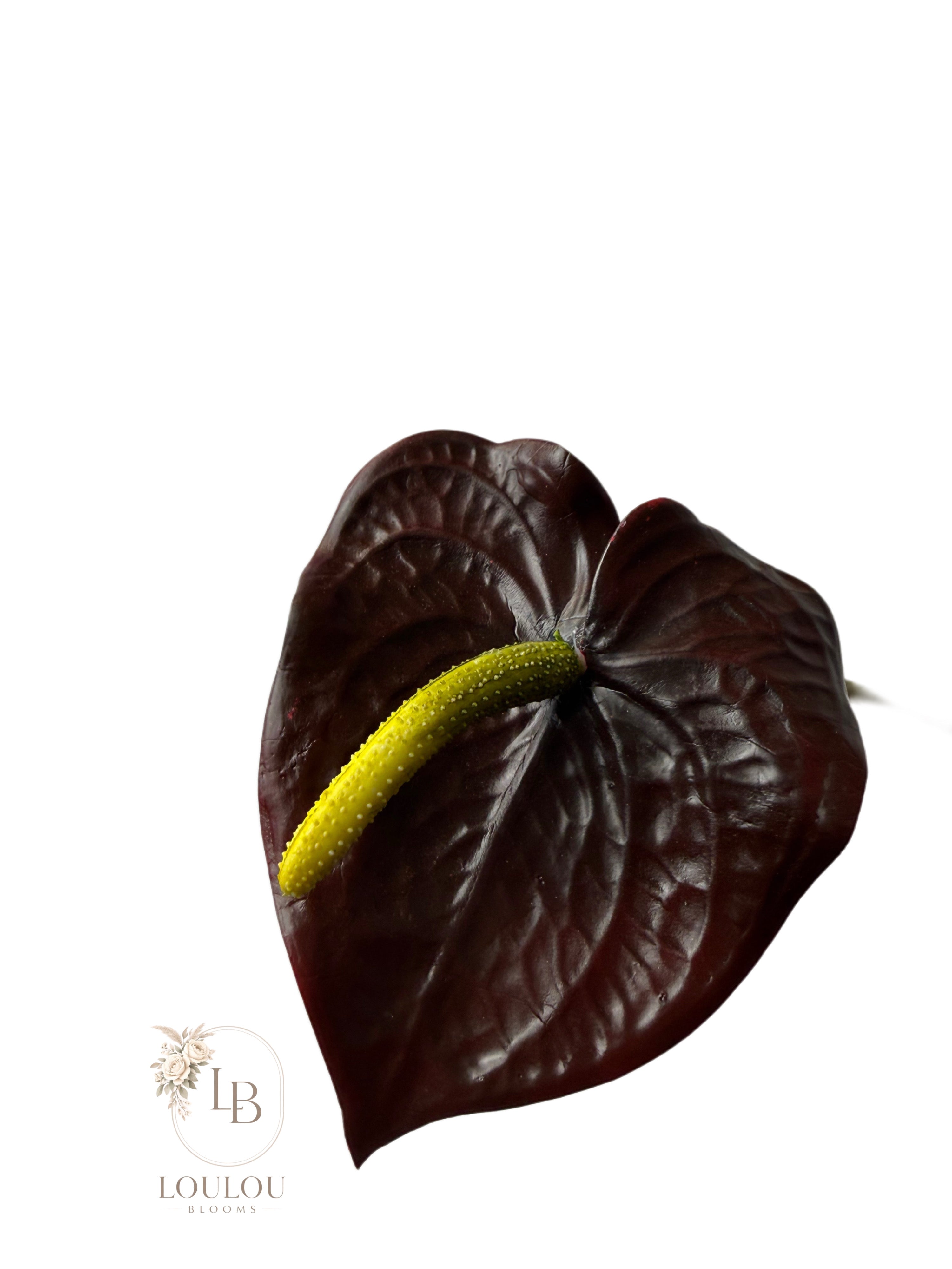 Anthurium tak