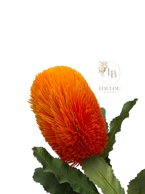 Banksia