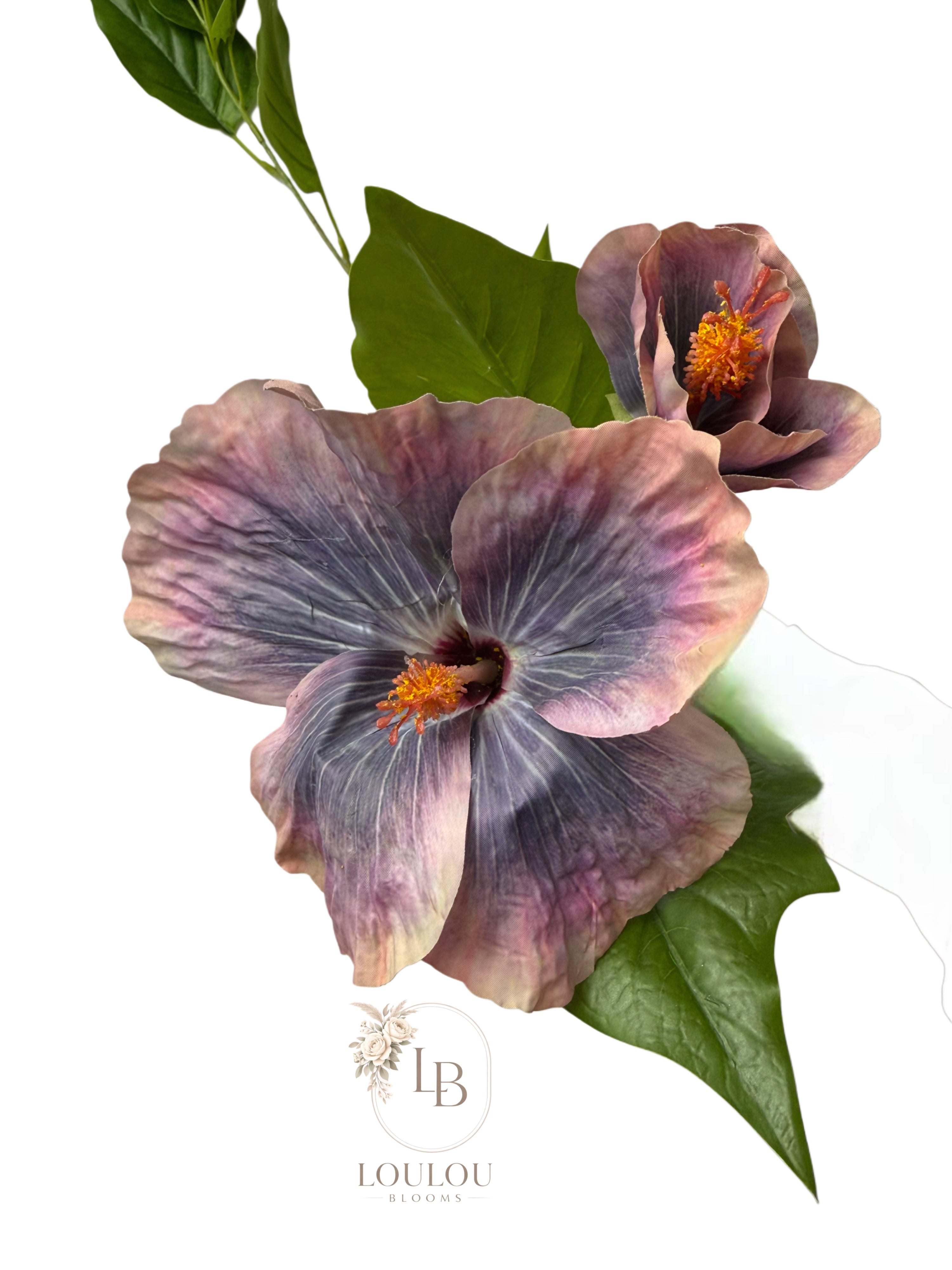 Hibiscus bloem