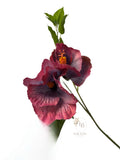 Hibiscus bloem