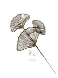 Ginkgo blad