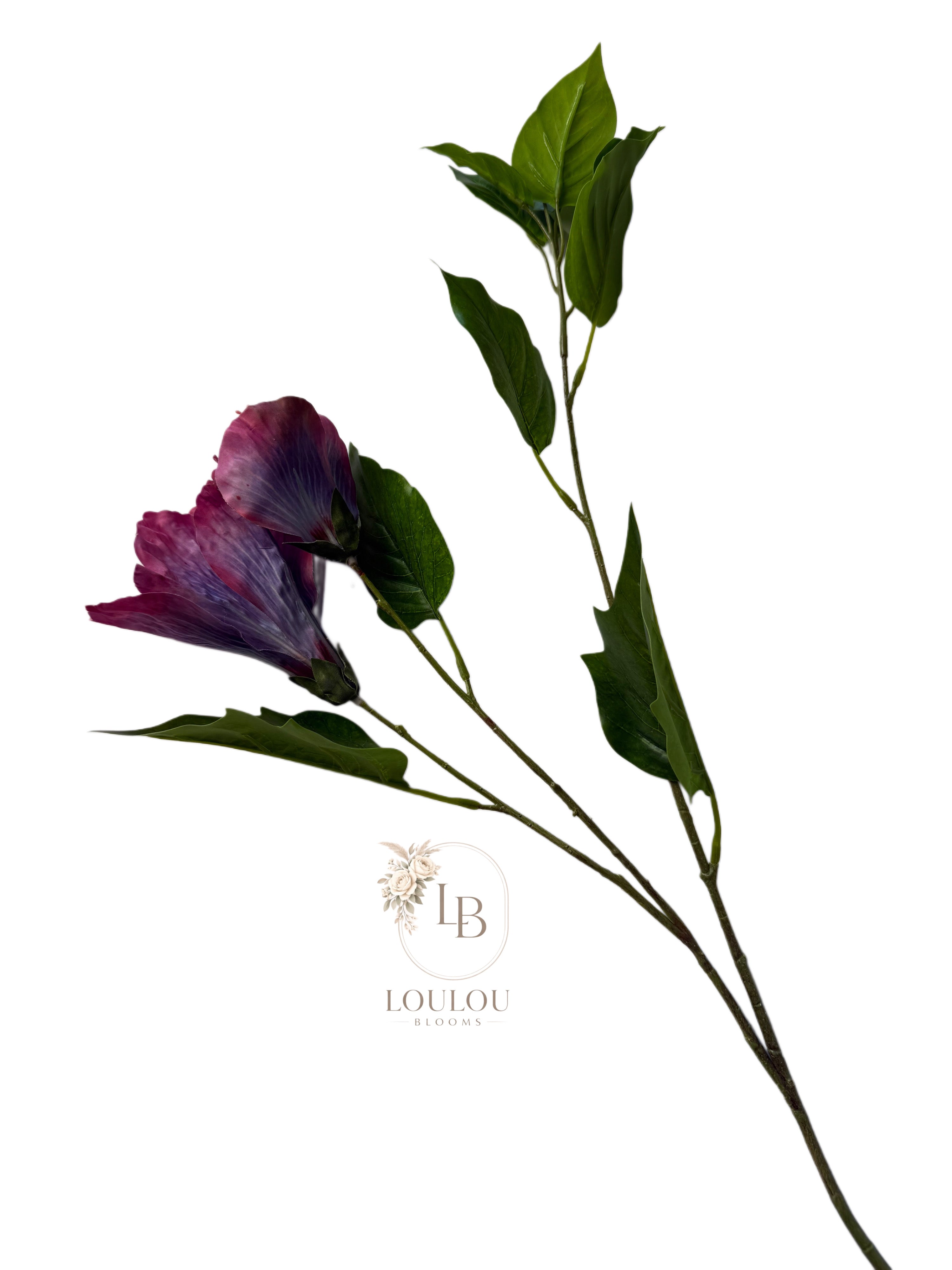 Hibiscus bloem