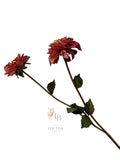 Dahlia tak