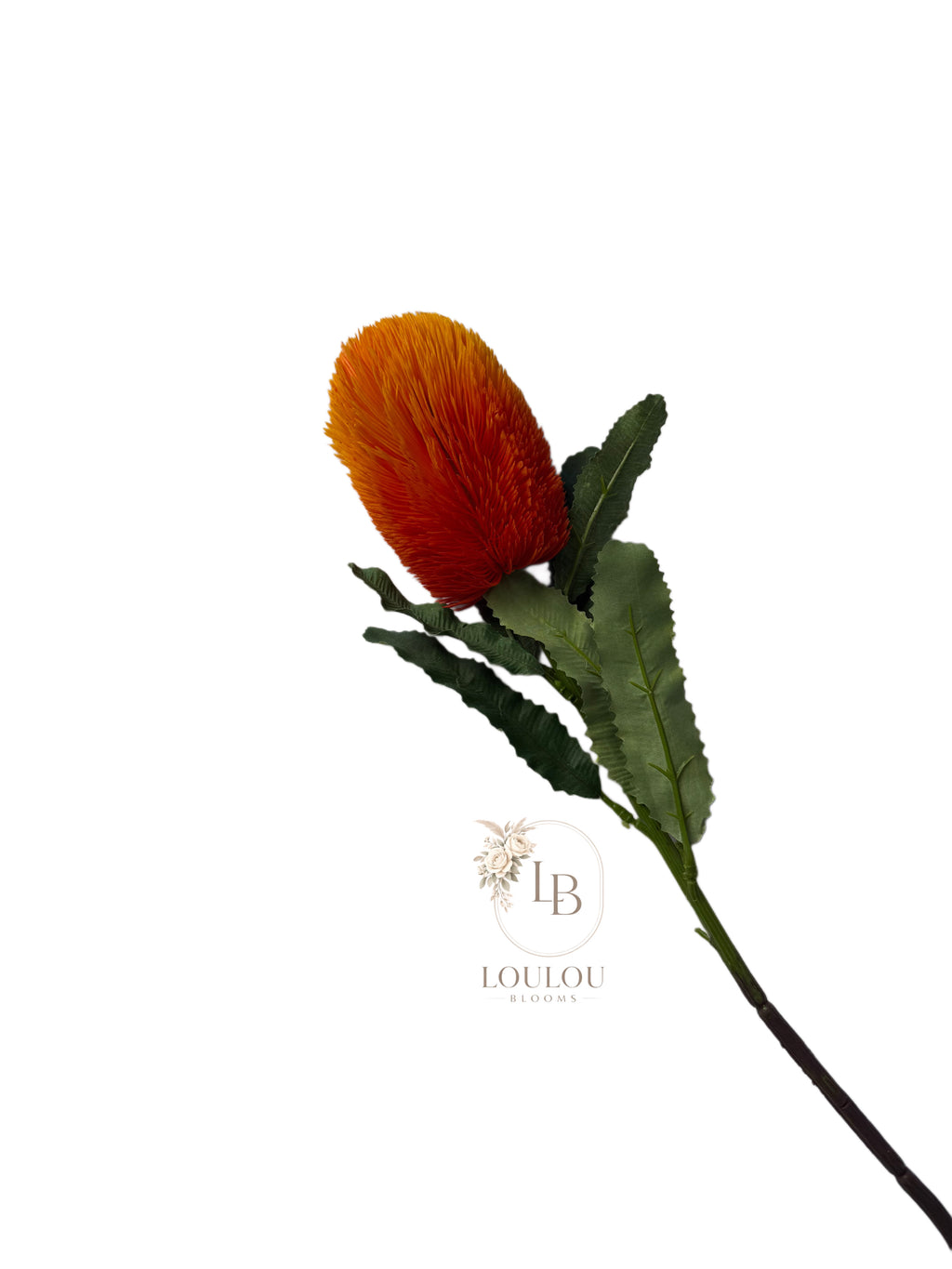 Banksia