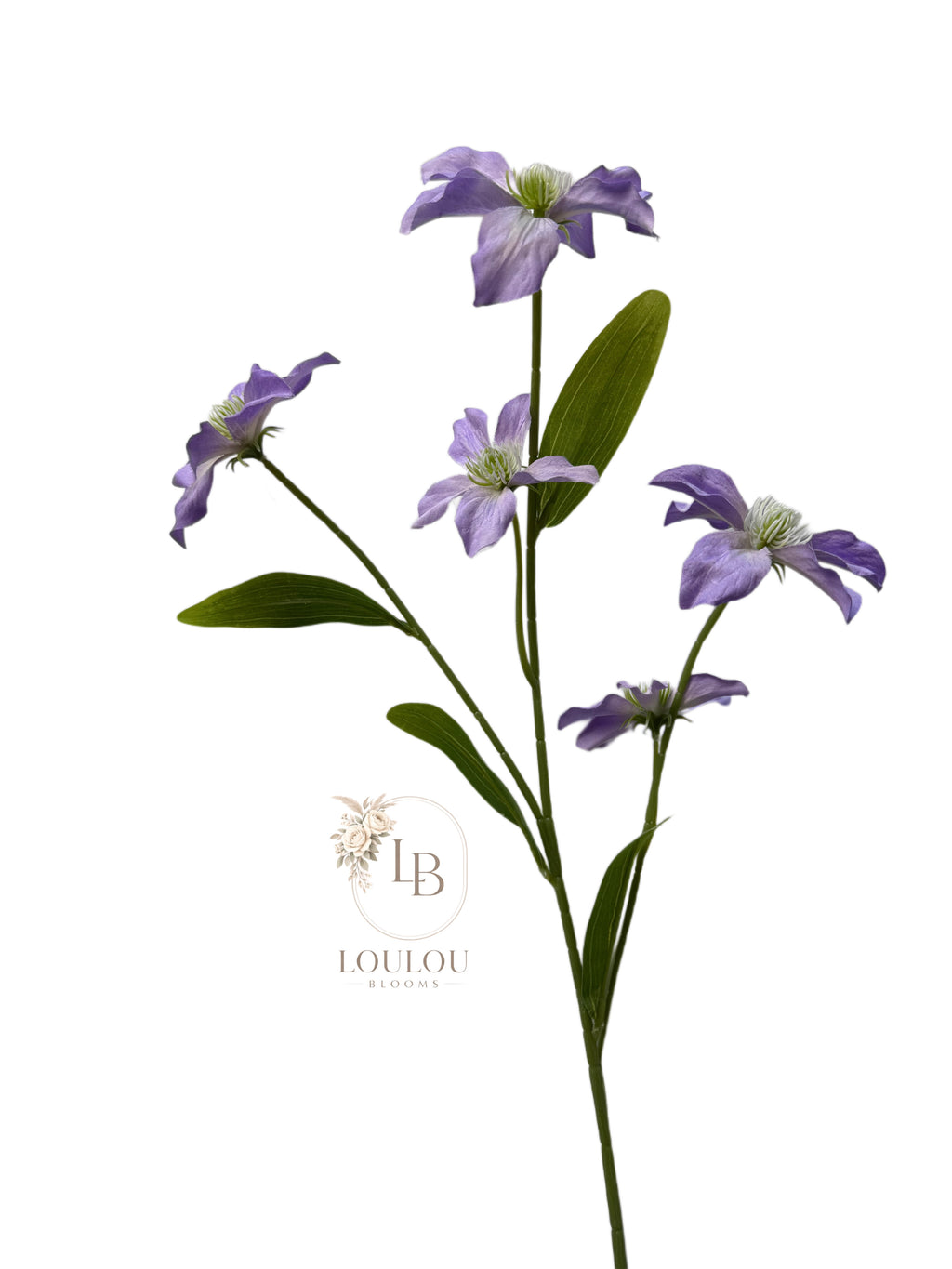 Bosrank (Clematis)