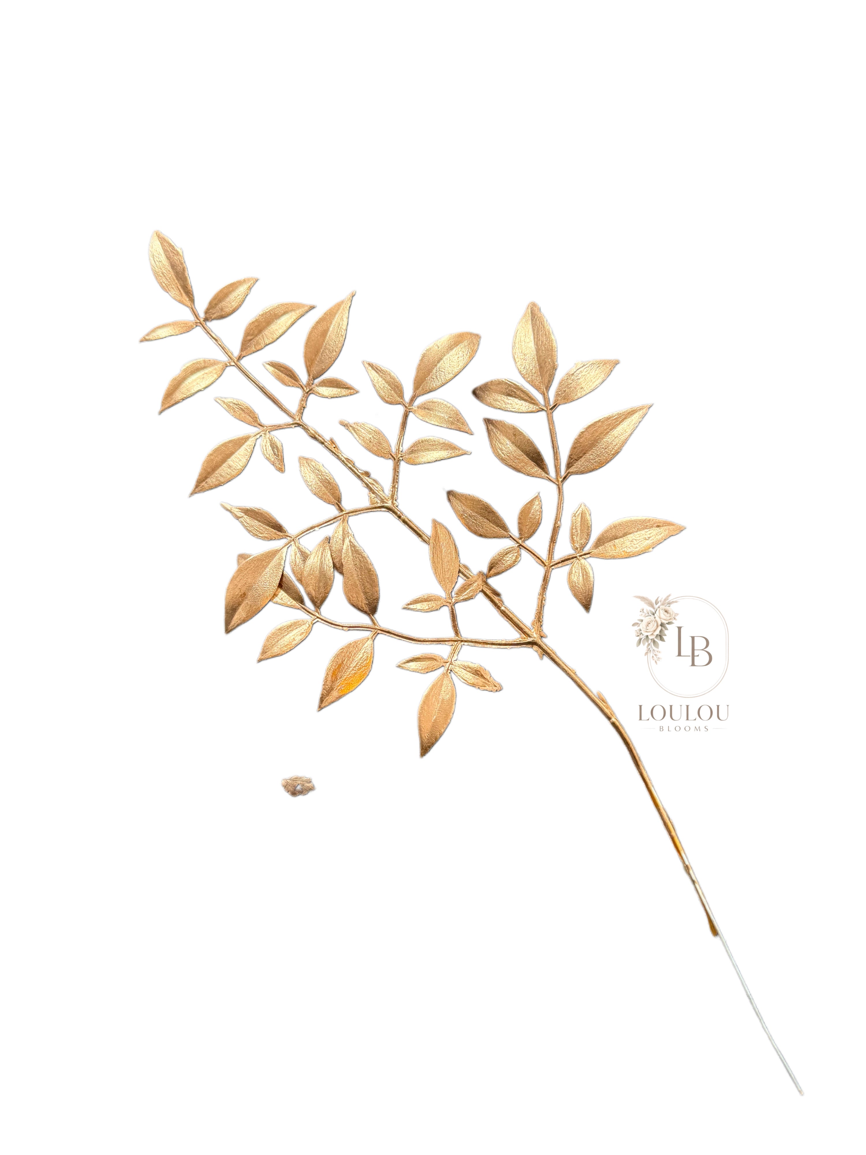 Ruscus tak